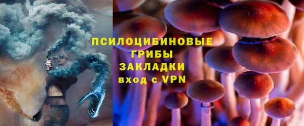 спиды Ельня